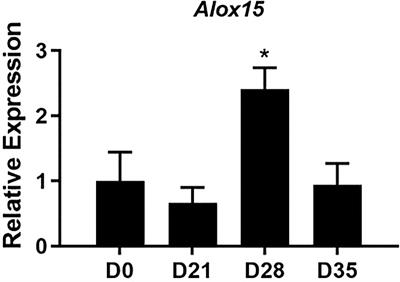 12/15-lipoxygenase activity promotes efficient inflammation resolution in a murine model of Lyme arthritis